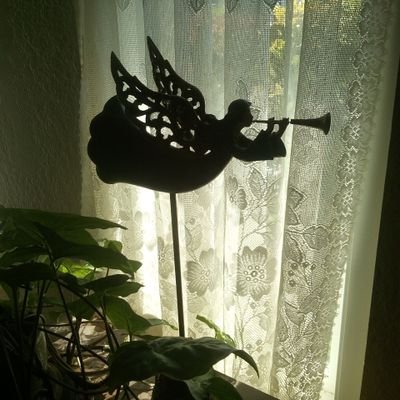Anran  (Unbiased Review)